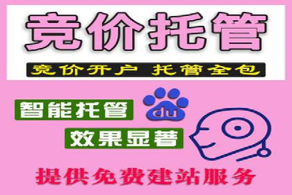 实战解析：SEM推广代运营案例